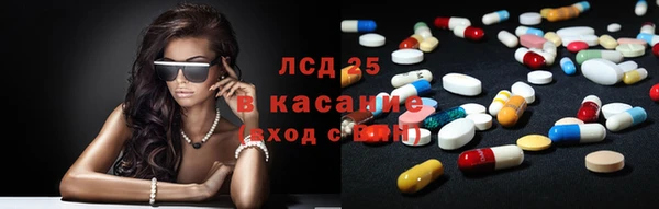 ГАЛЛЮЦИНОГЕННЫЕ ГРИБЫ Армянск