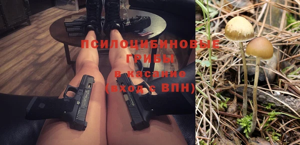 mdpv Арсеньев