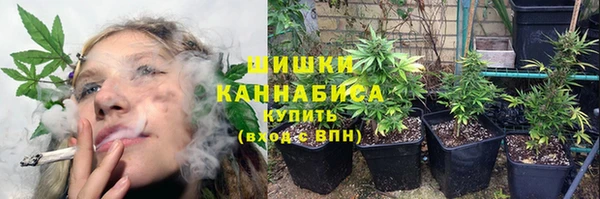 ГАЛЛЮЦИНОГЕННЫЕ ГРИБЫ Армянск