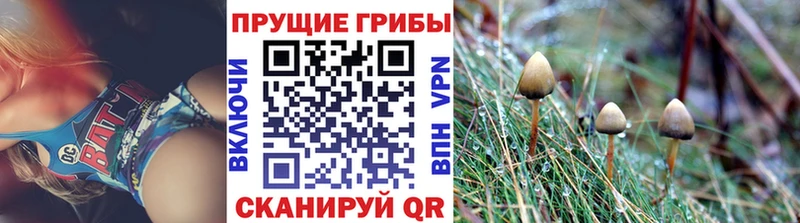 Галлюциногенные грибы мухоморы  где можно купить   Белоярский 