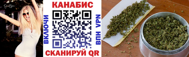 Бошки Шишки планчик Белоярский